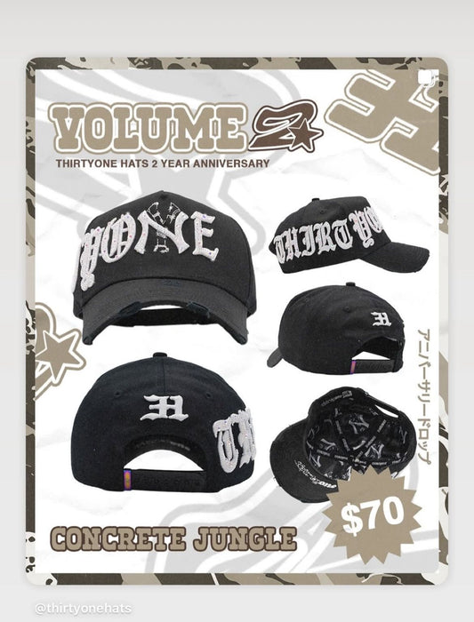 Two Years Anniversary - Thirty One Hats “Full Set”